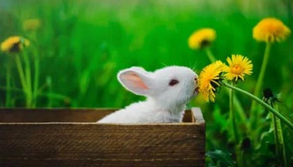 开云官网APP下载-江西与浙江交战，胜负难料等待揭晓，江西和浙江交界地图